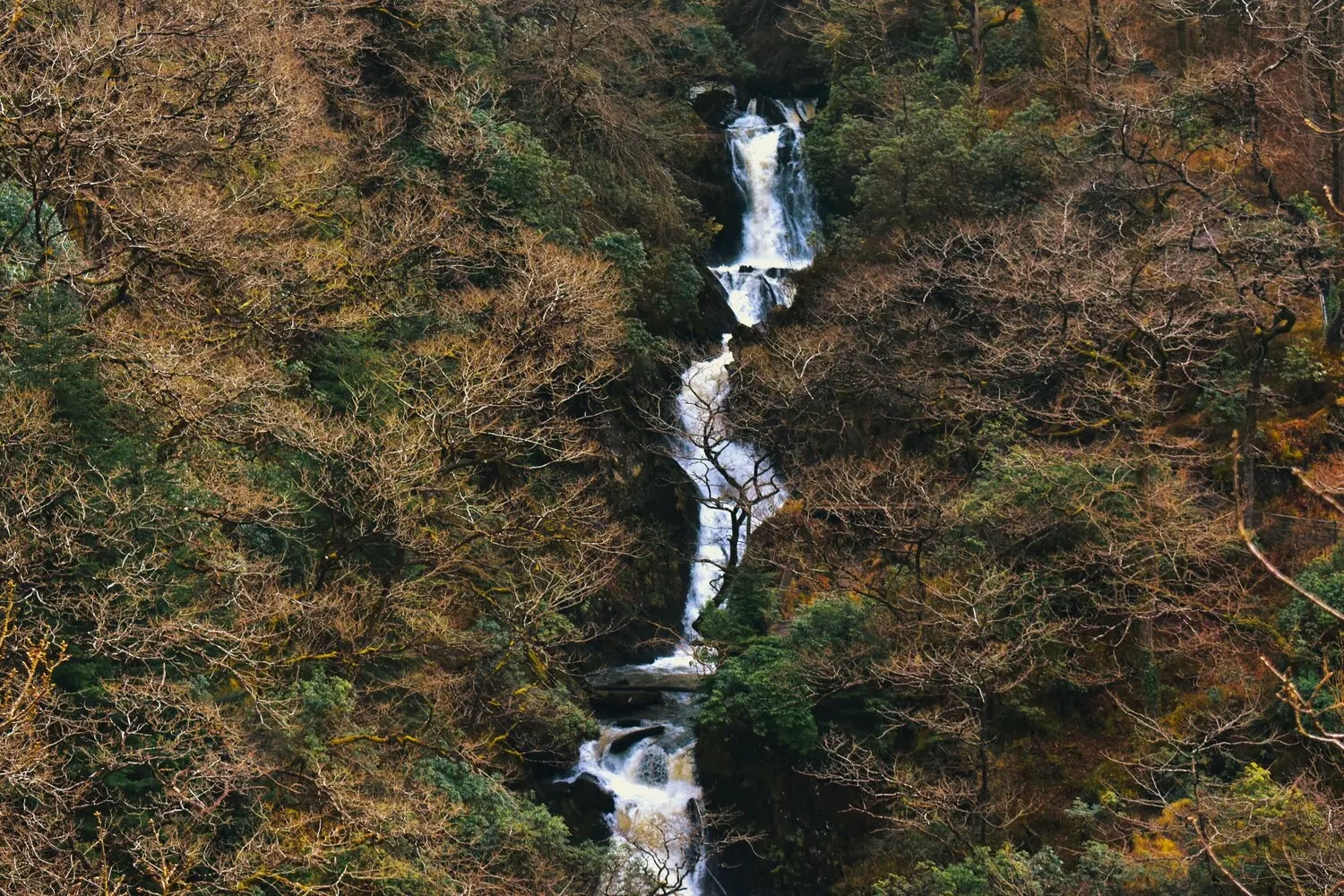 Waterfall
